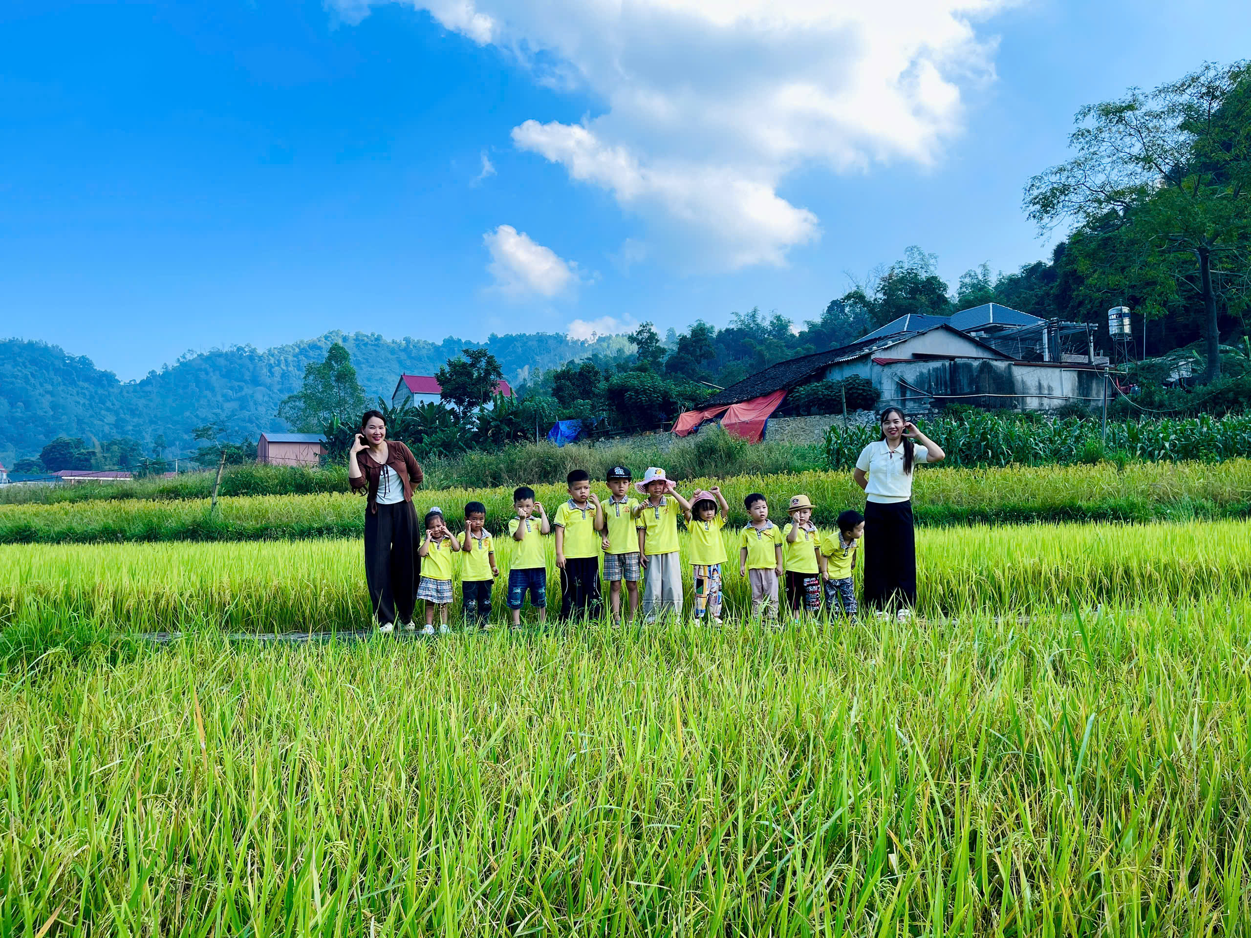 HOẠT ĐỘNG TRẢI NGHIỆM THAM QUAN CÁNH ĐỒNG LÚA