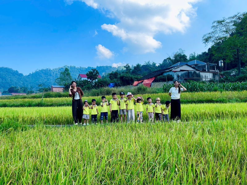 HOẠT ĐỘNG TRẢI NGHIỆM THAM QUAN CÁNH ĐỒNG LÚA