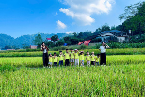 HOẠT ĐỘNG TRẢI NGHIỆM THAM QUAN CÁNH ĐỒNG LÚA
