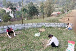 TRƯỜNG MẦM NON 1 TRI LỄ TRỒNG CÂY ĐẦU XUÂN